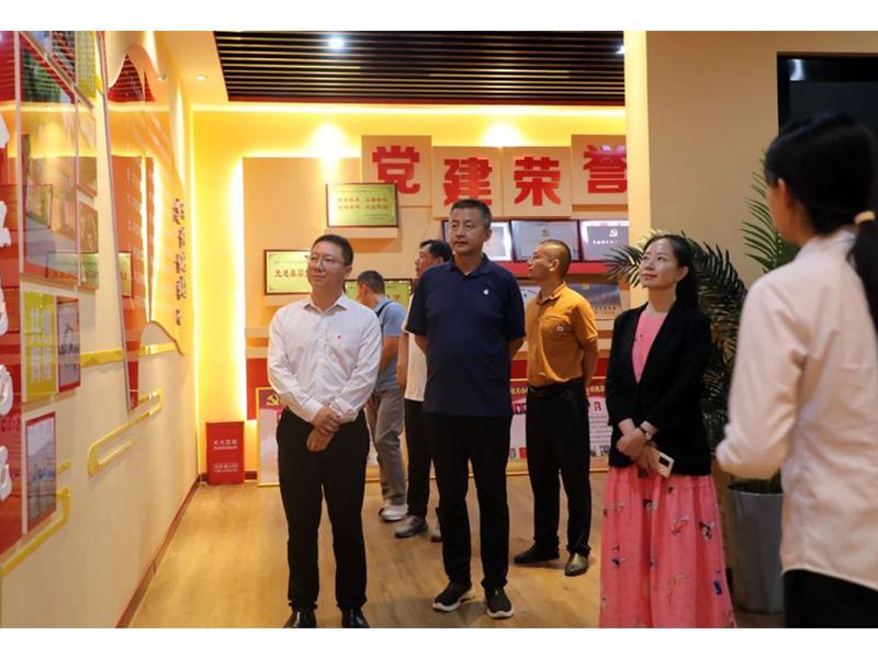 清華大學新能源學科專家團蒞臨大方調研指導工作